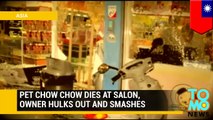 Pet Revenge: Chow Chow dog dies at groomer, owner smashes every shop of the franchise - TomoNews