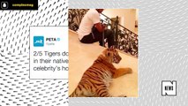 Floyd Mayweather and Chrissy Teigen Trade Shots Over 'Pet Tiger'