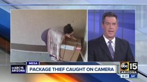 Woman caught on video stealing package from doorstep