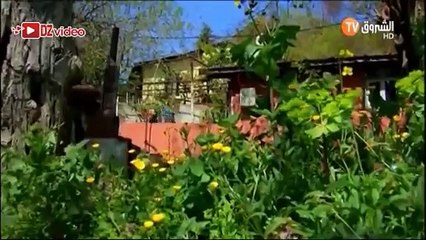 مسلسل إليف باللهجة الجزائرية الحلقة 53