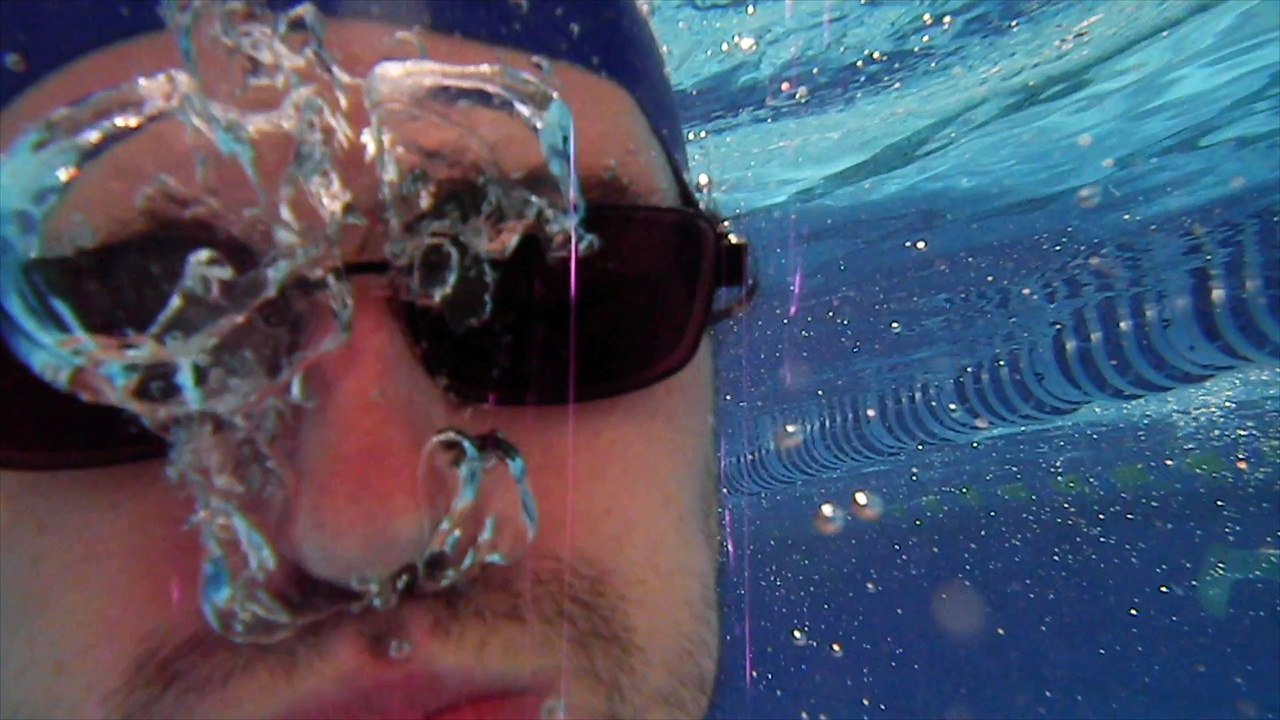 Internet controle le monde, les chats controlent internet... Les chats controlent le monde !