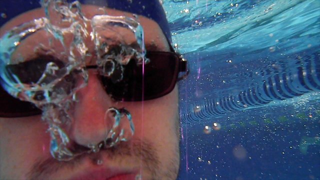 Internet controle le monde, les chats controlent internet... Les chats controlent le monde !