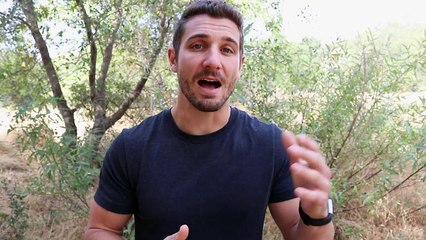 Fitbit Charge 2 REVIEW!