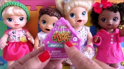 ANIMAL JAM - Um lindo Pet. Baby Alive Amandinha, Laura, Mel e Mila. Novelinha da Baby Alive.