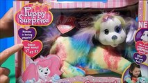 3 Pet Puppy & Kitty Surprise Dolls w/ Baby Puppies & Kittens Deboxing Toy Review