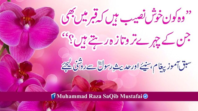 Muhammad Raza Saqib Mustafai - Marne K Baad Taro-Taza Chehre Wale Khush Naseeb
