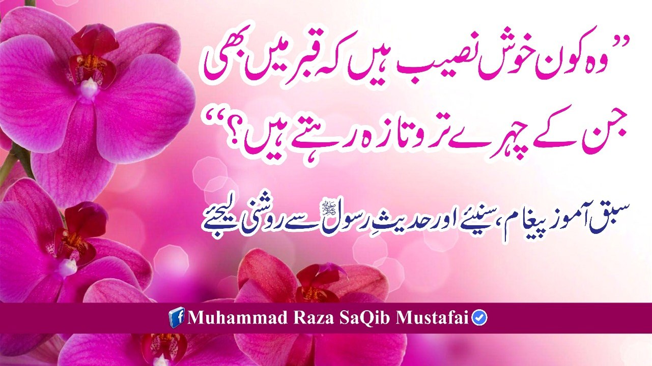 Muhammad Raza Saqib Mustafai - Marne K Baad Taro-Taza Chehre Wale Khush Naseeb