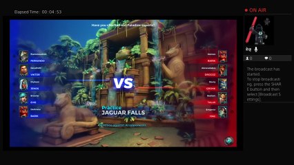 Paladins Live Broadcast first video