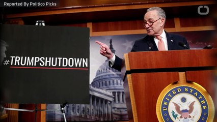 Schumer Criticizes White House's Immigration Proposal