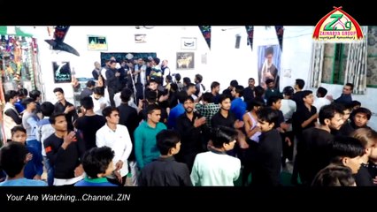 Mere Ghareeb Husain a.s. Tujhe hazaron Ne Mara  | Shakir Mangolri |