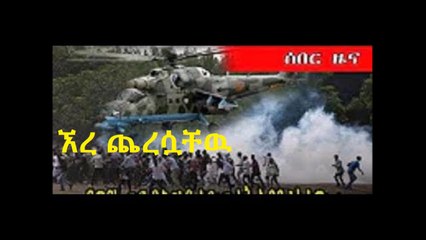 ኧረ ጨረሷቸዉ፤ ማንነታቸዉ ያልታወቀ በርካታ አስክሬኖች በቆቦ ሆስፒታል ተቀምጠዋል