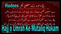 Hajj o Umrah Ke Mutaliq Hukam | Hadees Islamic | HD Video