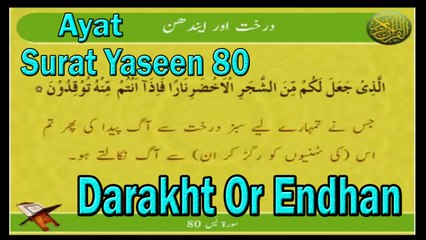 Darakht Or Endhan | Surat Yaseen 80 | Ayat | HD Video