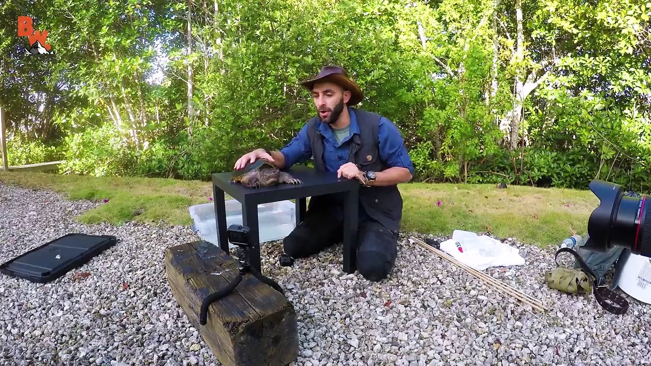 BITTEN by a SNAPPING TURTLE!