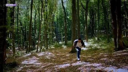 وادي الذئاب الجزء الثامن الحلقة 9 مدبلجة للعربية