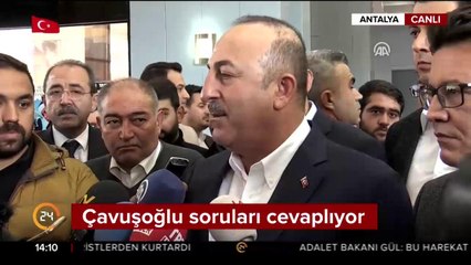 Zeytin Dalı Harekatı