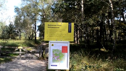 Creature Caught on Tape in Holland - Underground Bunker Located