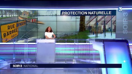 Inondation : la Bièvre, un modèle à suivre pour éviter les crues ?