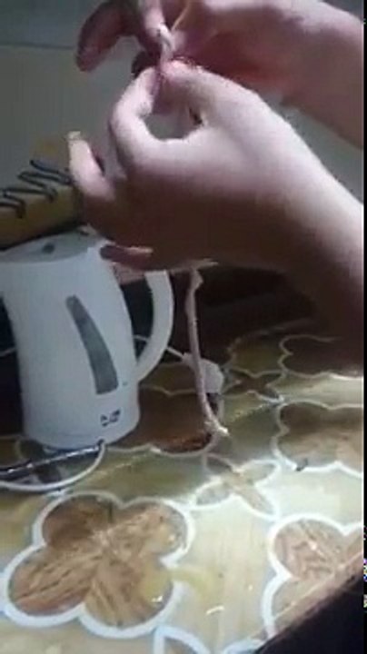 طريقة تركيب مصران الفراخ لصيد السمك