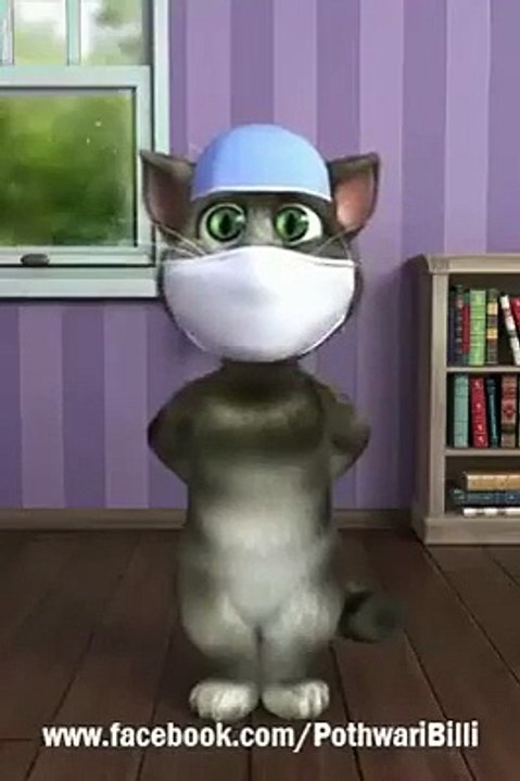 noti cat funny clip