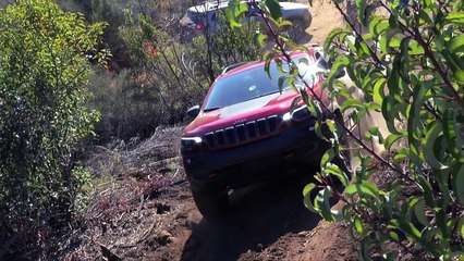 2019 Jeep Cherokee Trailhawk and Limited Review