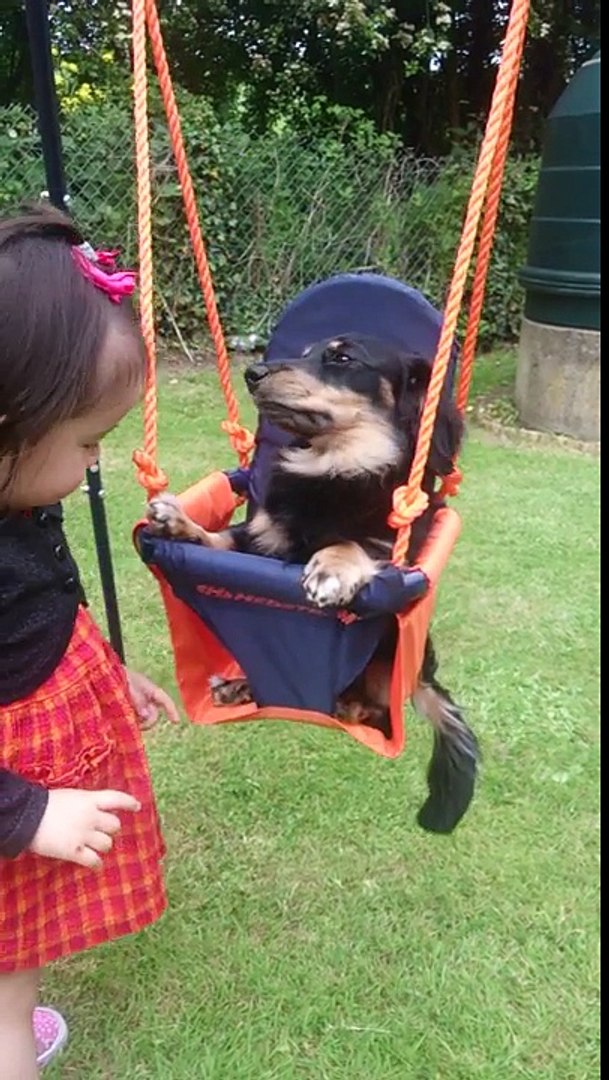 ⁣Funny pets