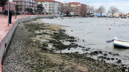 Deniz suyu 10 metre çekildi - YALOVA