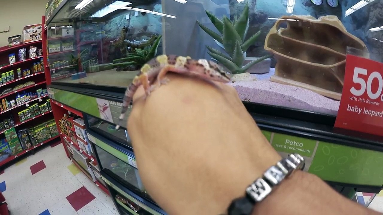 MY FiRST PET EVER!!