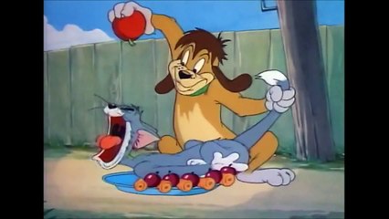 Tom and Jerry_  The Truce Hurts (1948)  توم وجيري