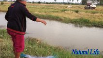 Amazing Fishing Trap in Cambodia-Traditional best Fishing Videos by hands-amazing net fishings-fish