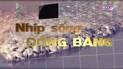 Nhịp sống đồng bằng - 27/01/2018
