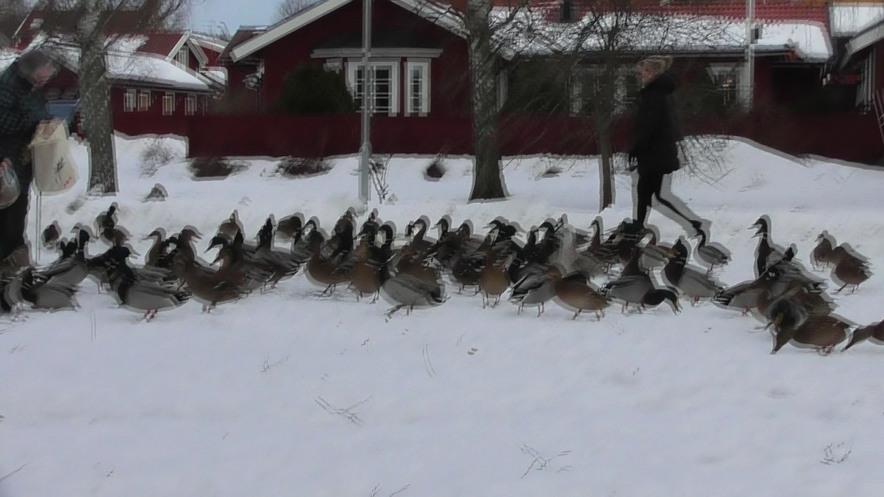 Jan 26 2018 F2