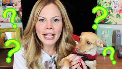 MAKING OUT WITH MY DOG! (Meet My Pet Tag)