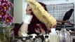 The Pet Mummy Rises: Company Offers To Mummify Pets For Eternity | TIME