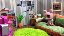 Azra ve Zümranın Maceraları 3.Bölüm - Minişler Cupcake Tv - Littlest Pet Shop -LPS Minişler Türkçe