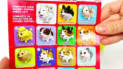 Chubby Puppies Husky & Beagle Tunnel Playset