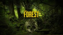 The Forest FULL MOVIE