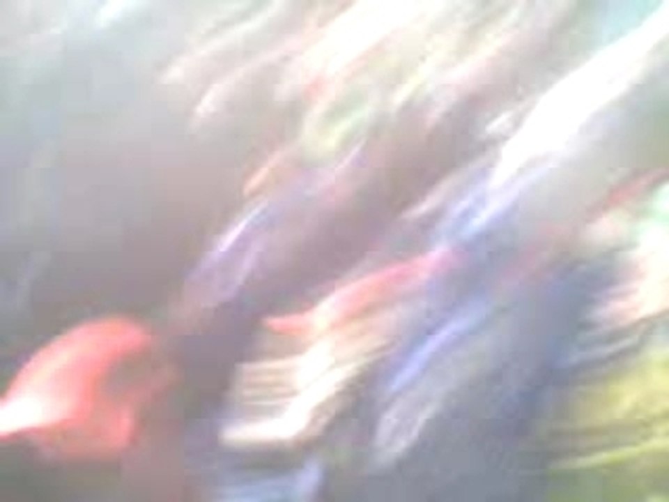 PSG MONTPELLIER Coupe de la ligue ambiance