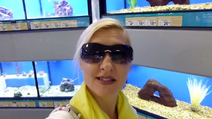 В Америку завезли Русских черепах-мои покупки!