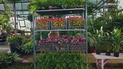 Hrabar i lepa - Lepotica i zver - Epizoda 02 - deo 3