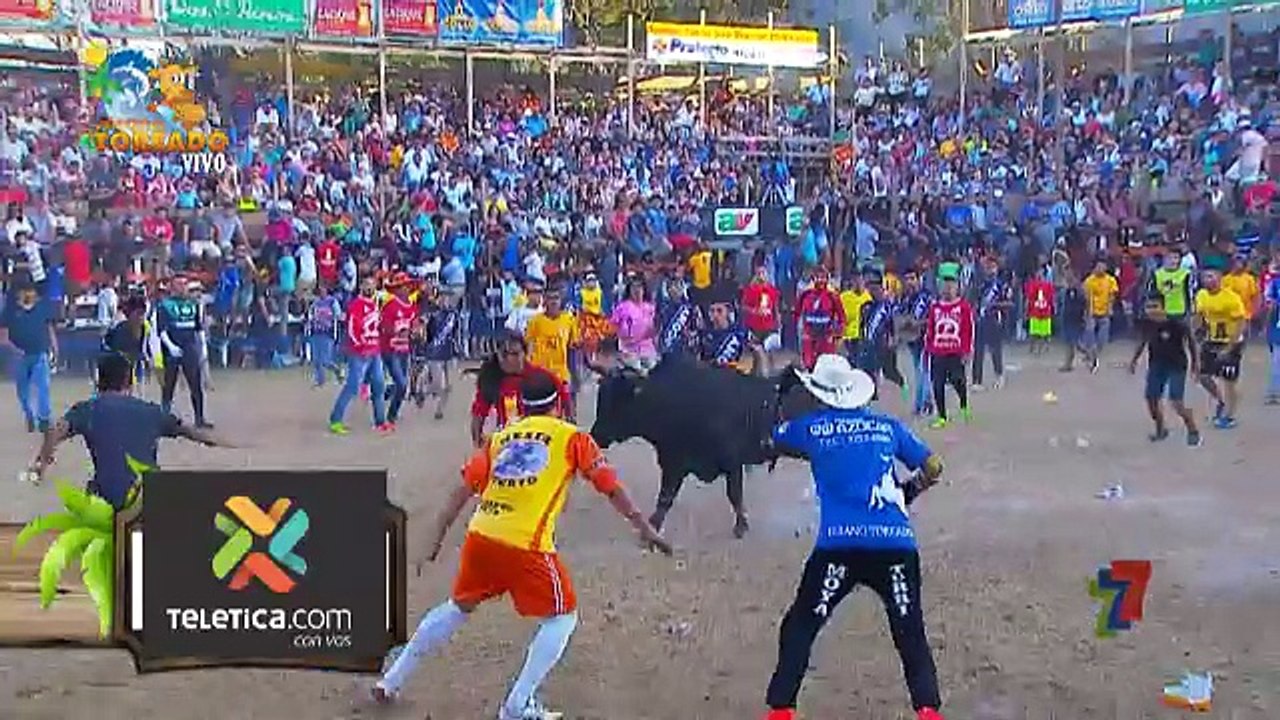 Los Levantines 27 Enero 2018