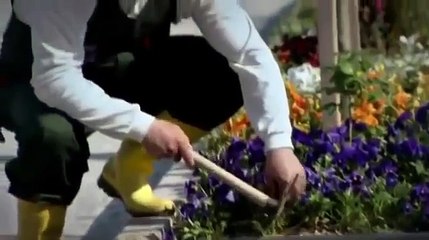 وادي الذئاب الجزء السادس الحلقة 67 مدبلجة للعربية