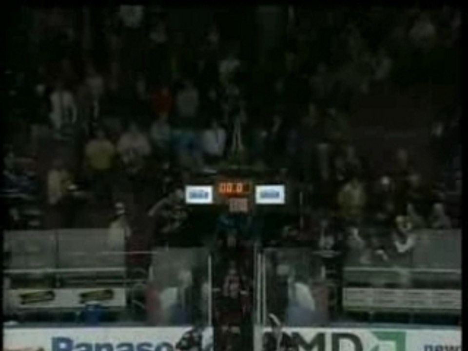 NHL Goal of the Year