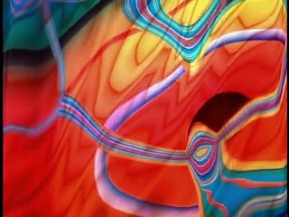 Baby Einstein 17 - Baby Beethoven - Symphony of Fun 03mos