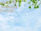 magFlags Bandiera Large Provincia di Pisa  bandiera paesaggio  135qm  90x150cm