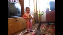 Mother cat snatches crying kitten from toddler