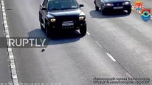 Russia: Still got all nine lives! Kitten rescued from oncoming traffic