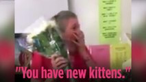 High school students give teacher kittens after learning her cat died