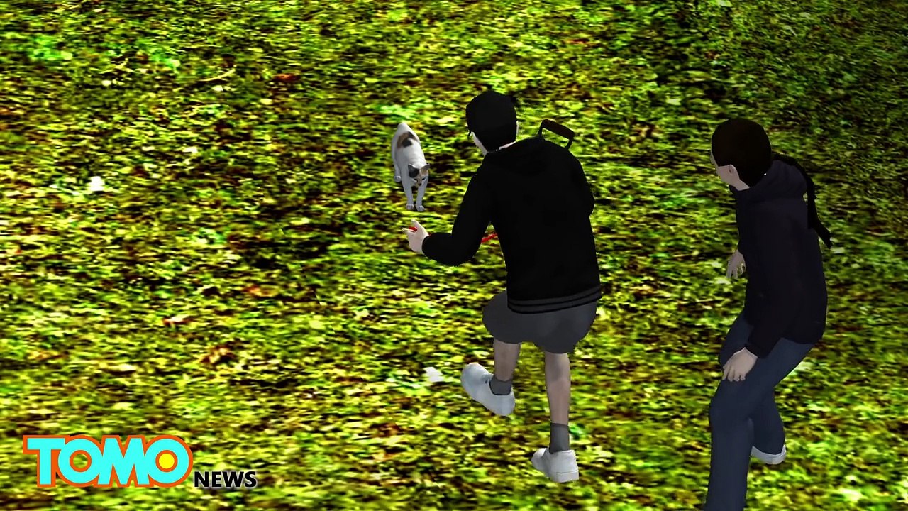 Snapchatting animal cruelty: Scottish teens share video of kitten swung around on leash - TomoNews