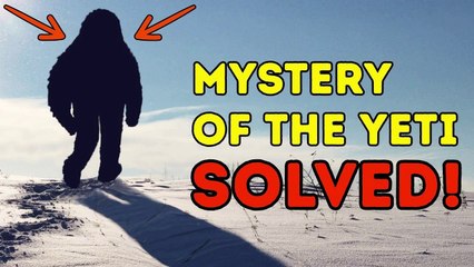 Scientists Have Finally Found Who the Yeti Is